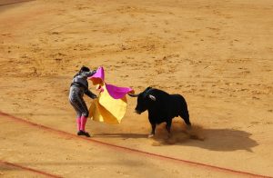 Sociologia: o ritual das touradas na Andaluzia, Espanha 