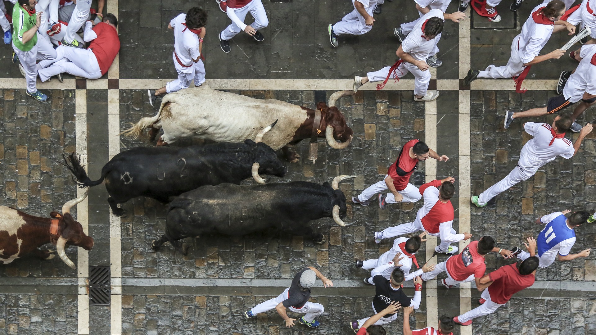 San Fermin - corrida de touros em Pamplona